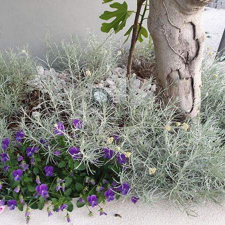 Villa Flores Kavran Εξωτερικό φωτογραφία
