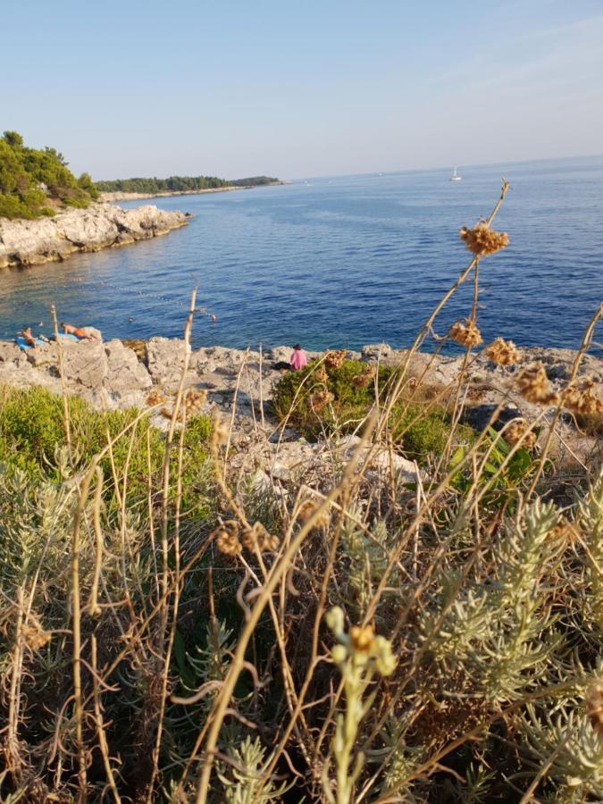 Villa Flores Kavran Εξωτερικό φωτογραφία