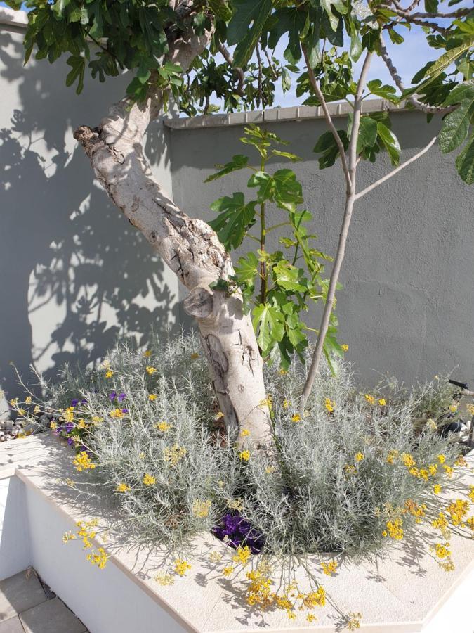 Villa Flores Kavran Εξωτερικό φωτογραφία